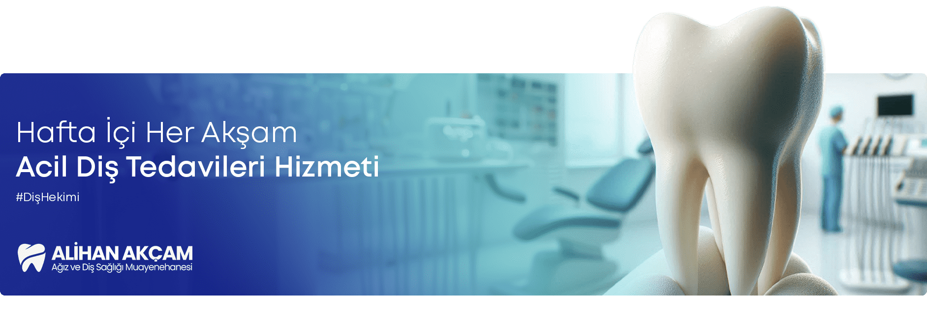 alihan akçam